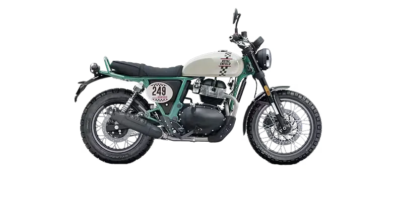 Bear 650